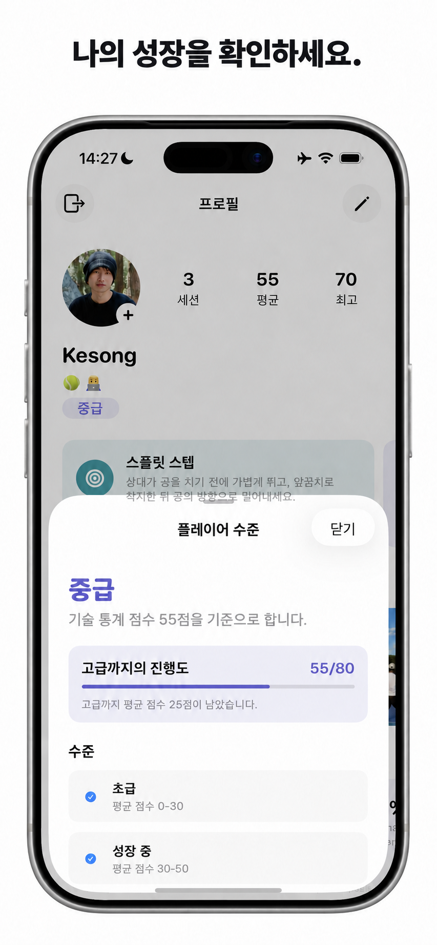Cue의 플레이어 레벨과 성장 기록