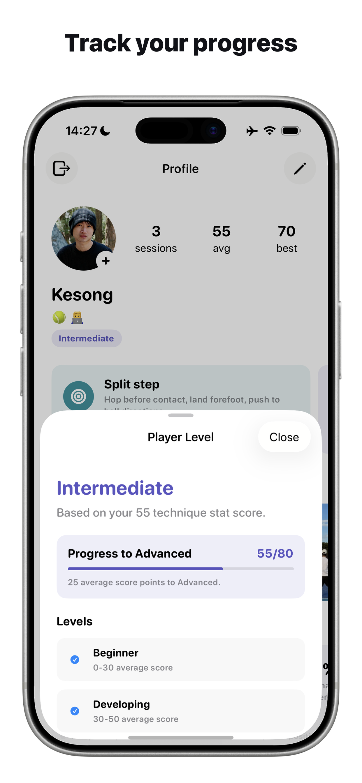 Cue player level and progress